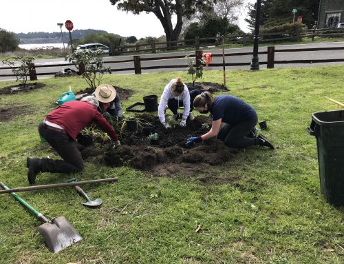 03/13/2021 Rotary Park – Planting Day